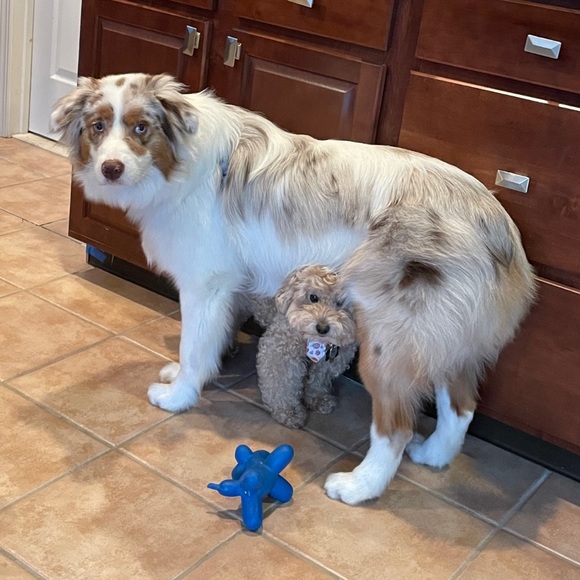 Meet your Posher, Jean - Picture 14 of 15